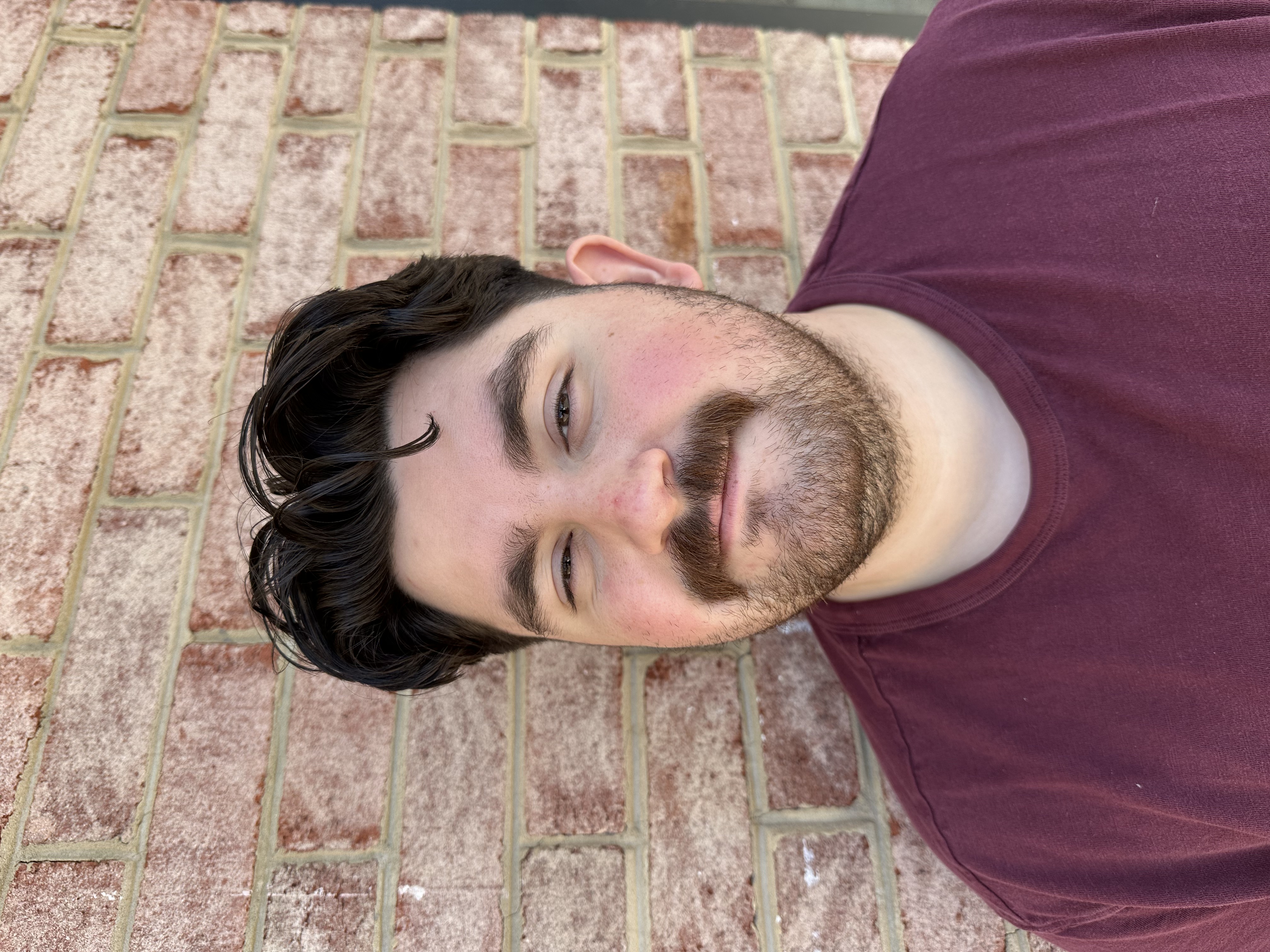 Dom - Profile Picture